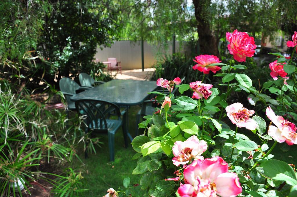 The Dove Cote Bed & Breakfast Tanunda Dış mekan fotoğraf