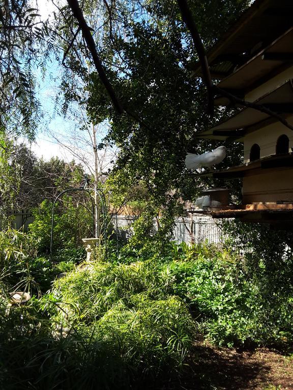 The Dove Cote Bed & Breakfast Tanunda Dış mekan fotoğraf