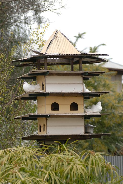 The Dove Cote Bed & Breakfast Tanunda Dış mekan fotoğraf